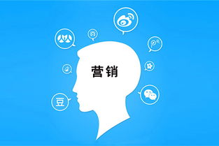 零預算玩轉互聯網銷售 實用策略與技巧